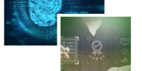 Computerization of arm Licences and Boarder Pass 